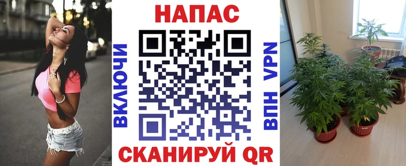 Продажа наркотиков Чернушка Канабис  Меф мяу мяу  АМФ  ГАШ  СОЛЬ 