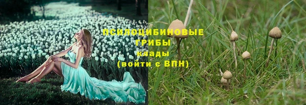 мескалин Армянск