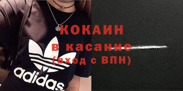 стаф Алзамай