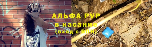 стаф Алзамай